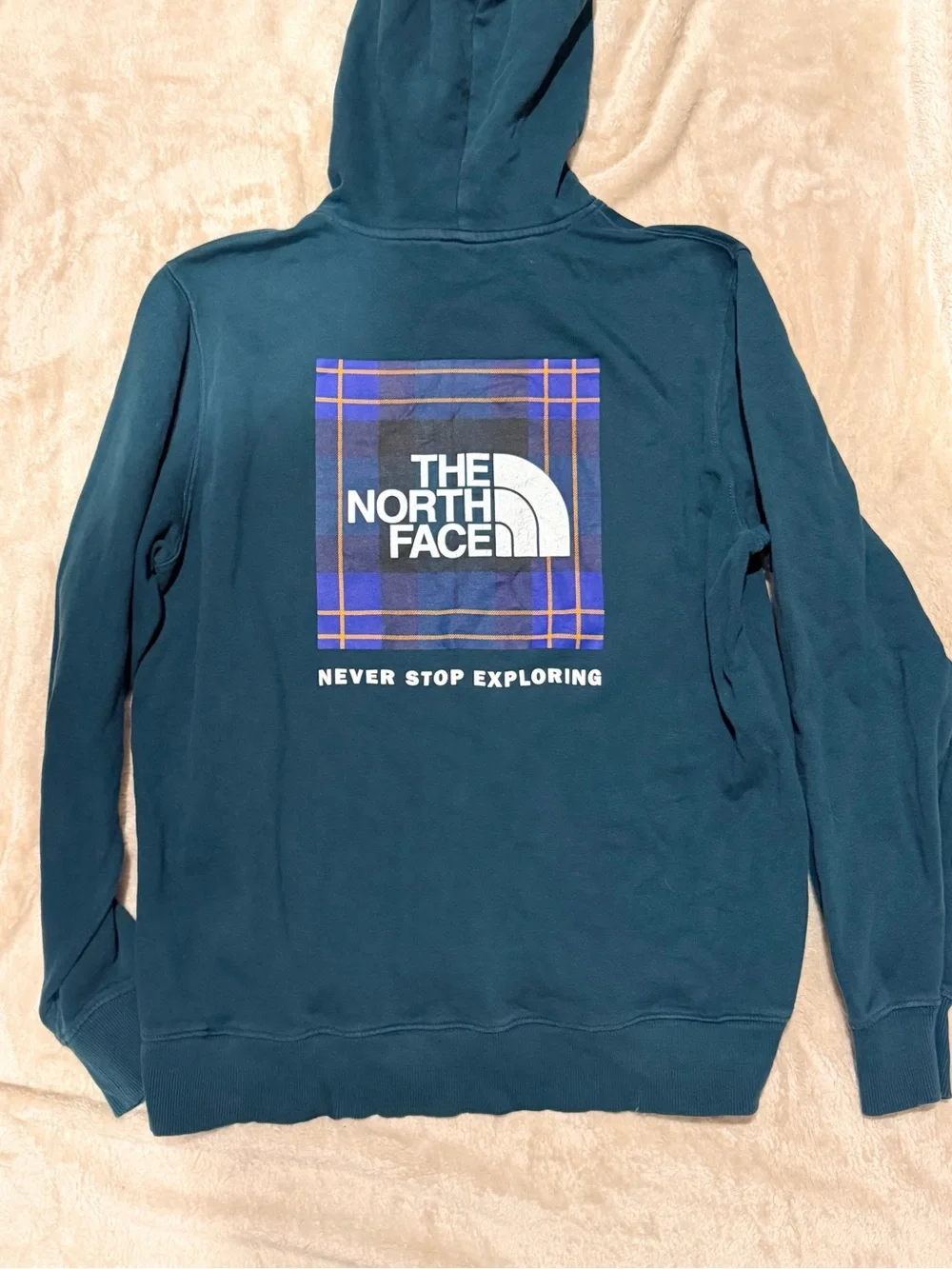 The North Face NSE Hoodie